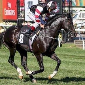 Meet your Posher, Bobbie